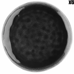 6 Assiettes Moon noires - D.21 cm