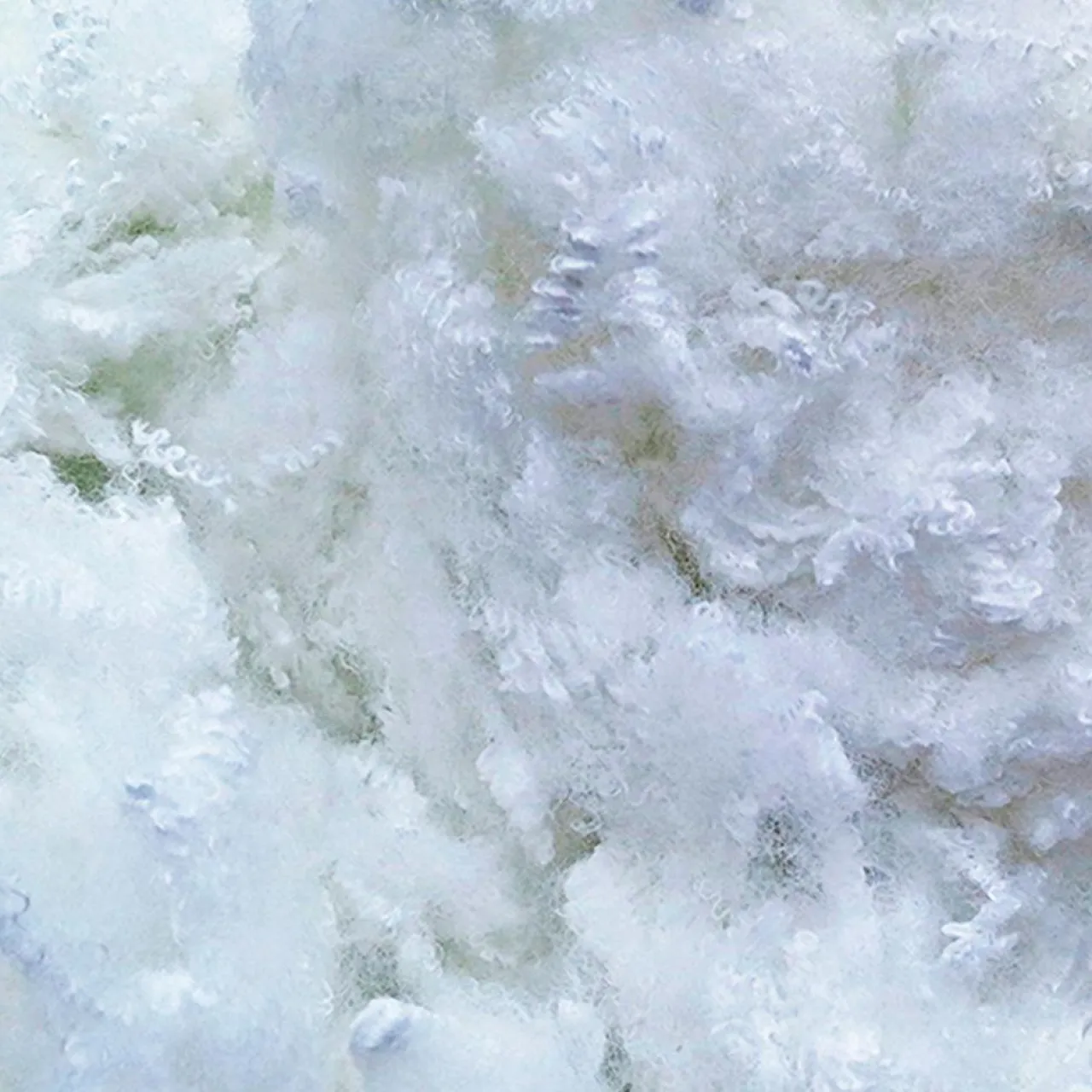 4 Oreillers Alaska à Fibres creuses polyester blancs - 60x60 cm