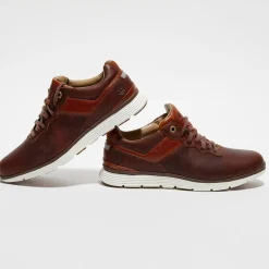 Baskets en Cuir Killington marron