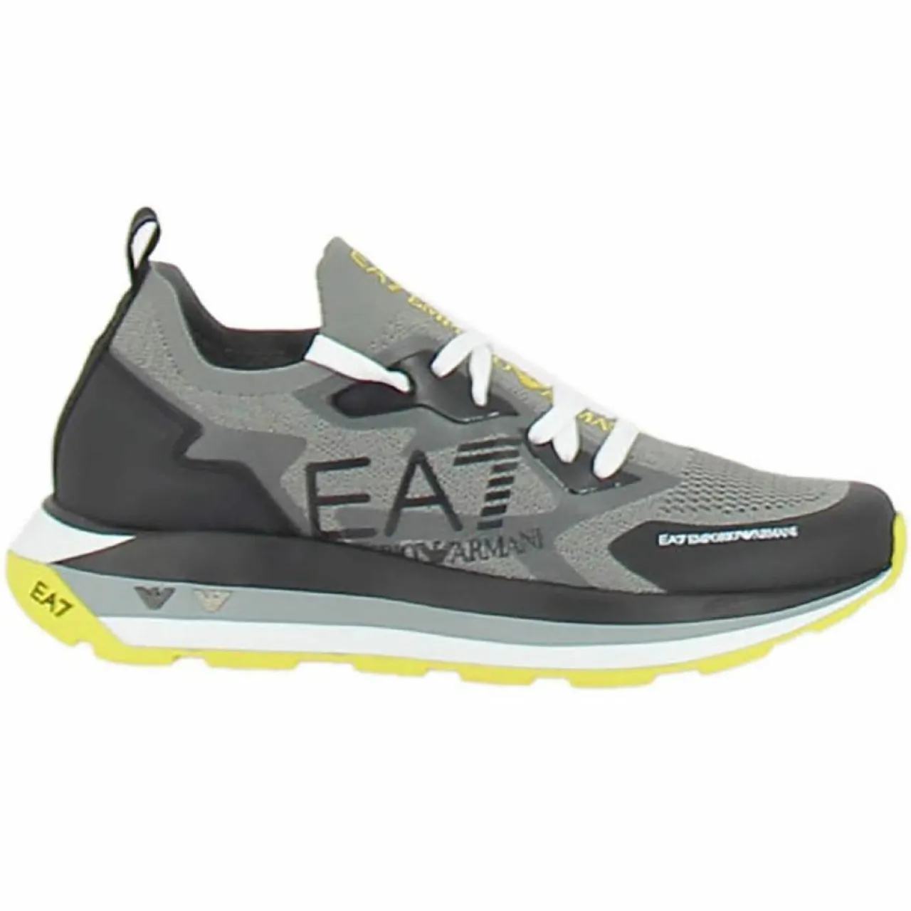 Baskets Sisio grises