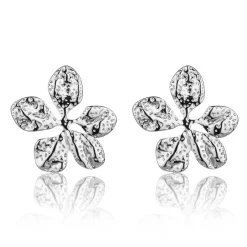Boucles d'oreilles Zavira argentées