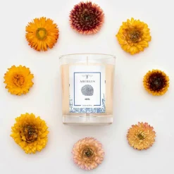 Bougie parfumée Jardin en hiver Miel ivoire - 45h
