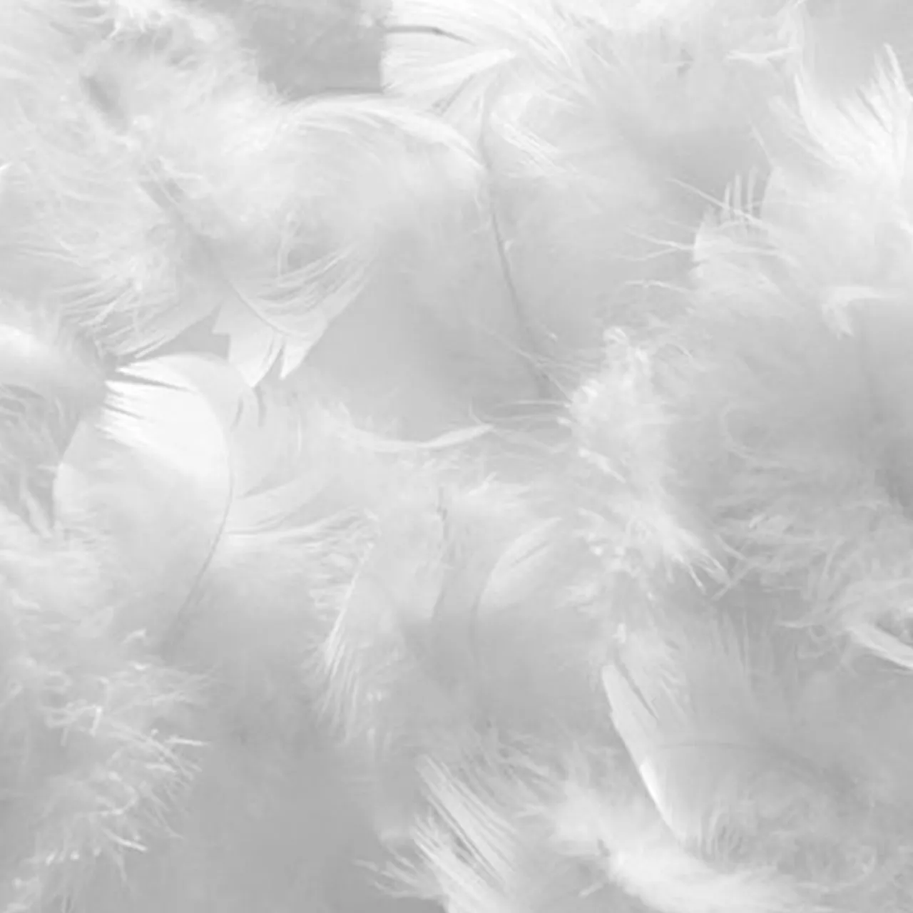 Couette Natura Duvet & Plumes blanche - 140x200 cm