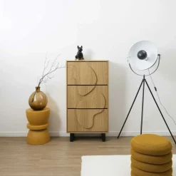 Meuble à chaussures Calypso marron/noir - 60x24x115 cm