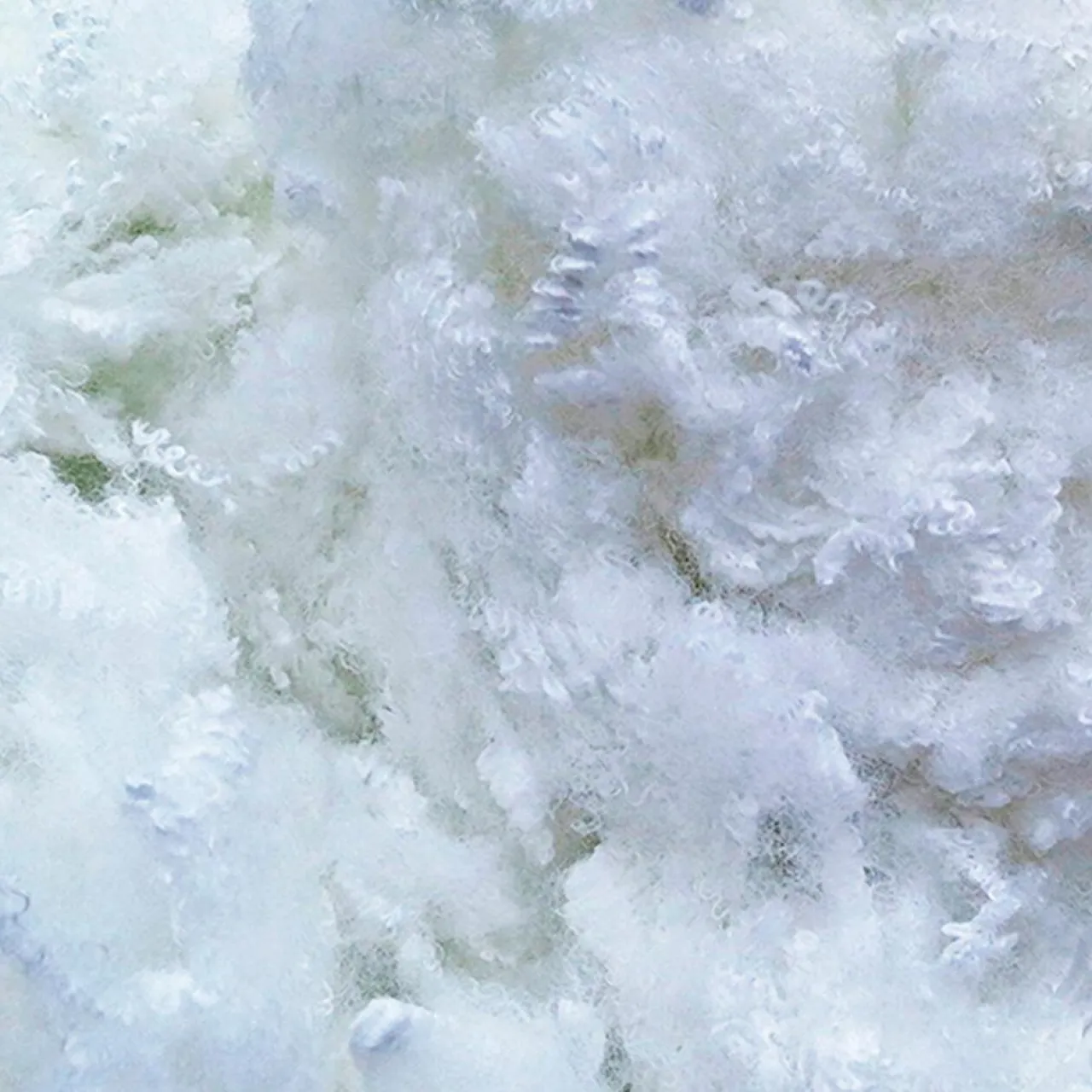 Oreiller Fibres creuses Alaska blanc - 50x70 cm