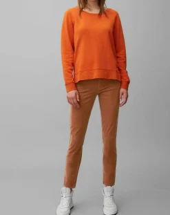 Pantalon en Velours Albi Milleraies marron