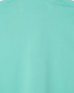 Polo Regular Fit uni piqué vert clair