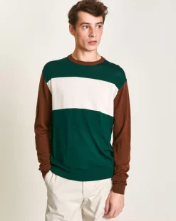 Pull 100% Laine Dapico vert/marron/écru
