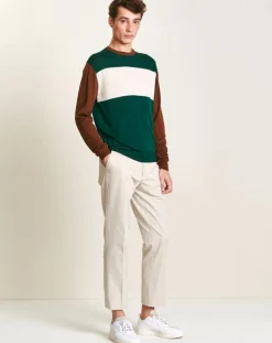 Pull 100% Laine Dapico vert/marron/écru