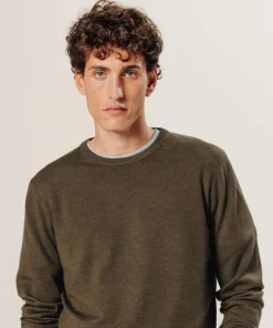 Pull Aaron 100% laine col rond marron écorce