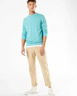 Pull Logo vert clair