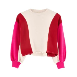 Sweat Faroek sugarcane