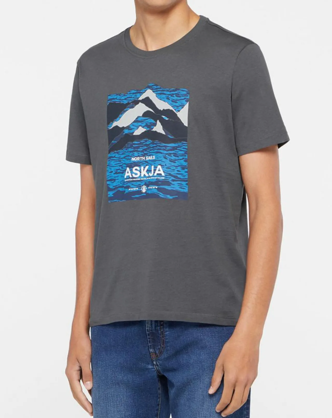 T-Shirt 100% Coton Bio Graphic gris