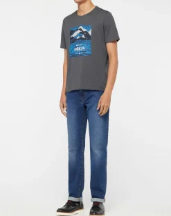 T-Shirt 100% Coton Bio Graphic gris