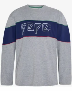 T-Shirt Logo Archive gris/bleu