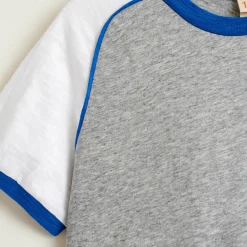 T-Shirt Moby en Coton tricolore gris/blanc/bleu